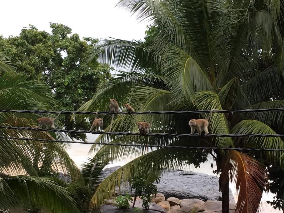 Simukut Place Kampong Pasir Sanang Burong Eksteriør bilde