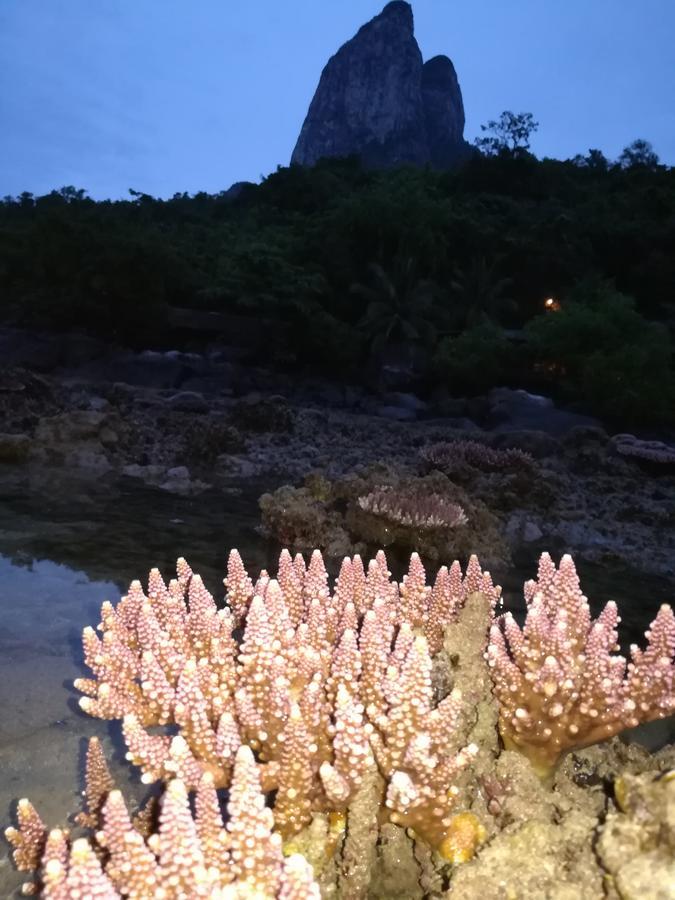 Simukut Place Kampong Pasir Sanang Burong Eksteriør bilde