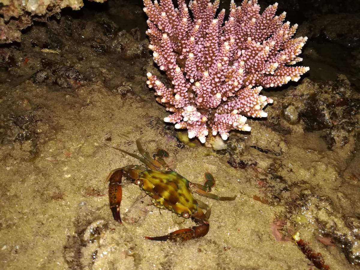 Simukut Place Kampong Pasir Sanang Burong Eksteriør bilde